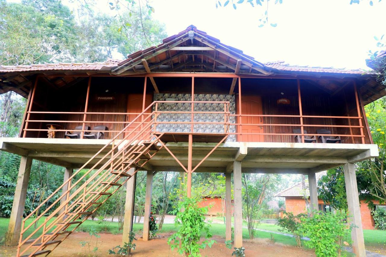 Pepper Green Wayanad Resort With Swimming Pool Kattikkulam Exterior foto
